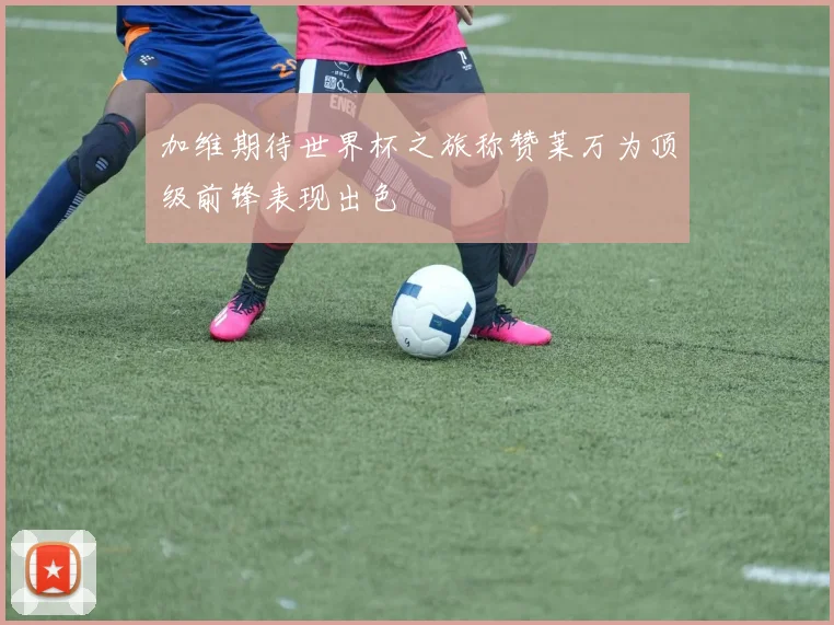 加维期待世界杯之旅称赞莱万为顶级前锋表现出色