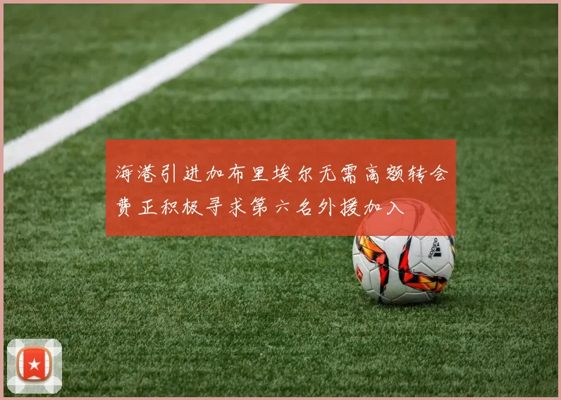 海港引进加布里埃尔无需高额转会费正积极寻求第六名外援加入